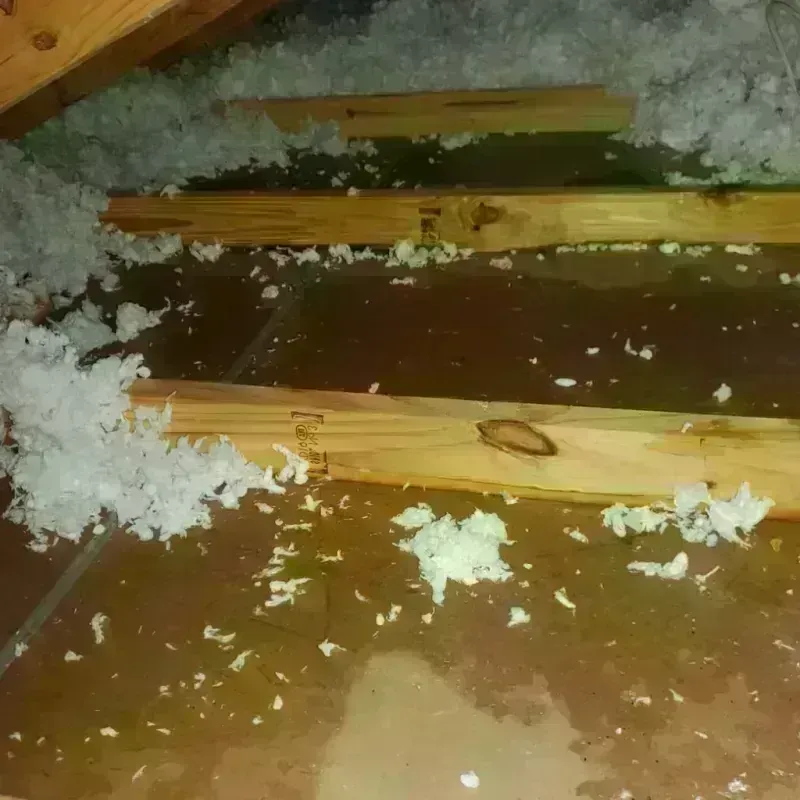 Attic Water Damage in Hawi, HI